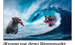 Beitragsbild zu News aus dem Börse Express PDF vom 07.04.2025: (Knapp vor dem) Bärenmarkt 