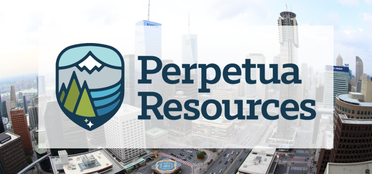 Beitragsbild zu Perpetua Resources Aktie: Finanzierungs-Schock!