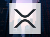 Beitragsbild zu XRP: Investoren begeistert!
